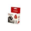 Canon Ink Cartridge PG510 Black Twin Pack