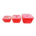 Impress Container Microwave Safe Set 3