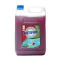 Northfork 638020700 GECA Neutral Cleaner 5L