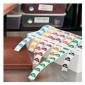 Avery 937348 Day Labels and Dispenser Kit