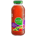 Spring Valley Apple Blackcurrant Juice 300ml Bottle Carton 24