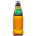 Schweppes Dry Ginger Ale Mixer Drink 300ml Bottle Carton 24