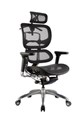 Executive Ergo Chair High Mesh Back  Seat with Head Rest Seat Slider Lumbar Support Black