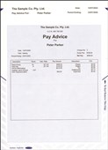 A4 Pay Envelopes