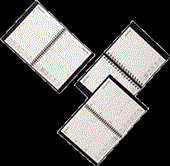 Calendar Year Diaries