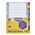 Marbig 35029F Dividers JanDec Tab A4 Reinforced MultiColoured