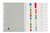 Marbig Dividers 35026 Plastic Insertable A4 Grey 10 Tab discontinued